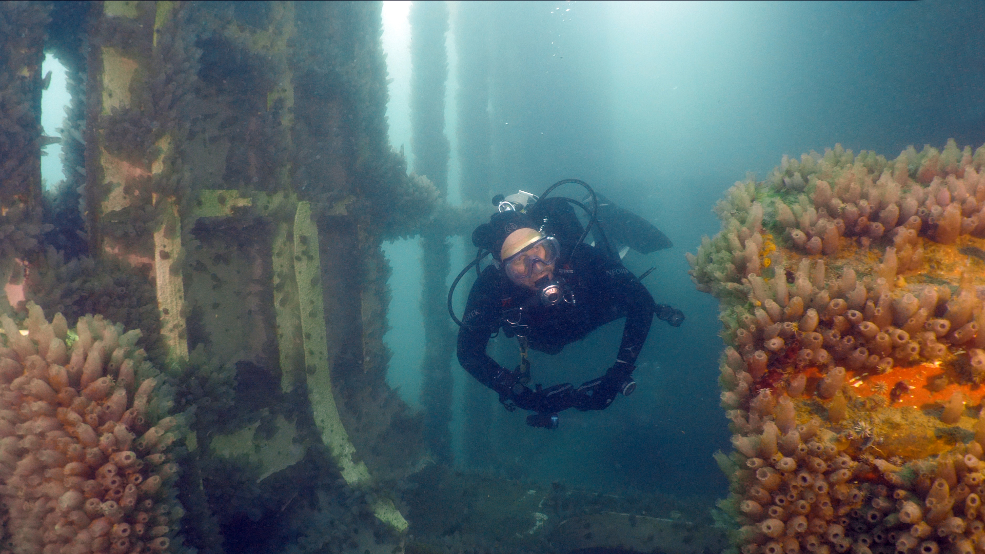 buceo argentina